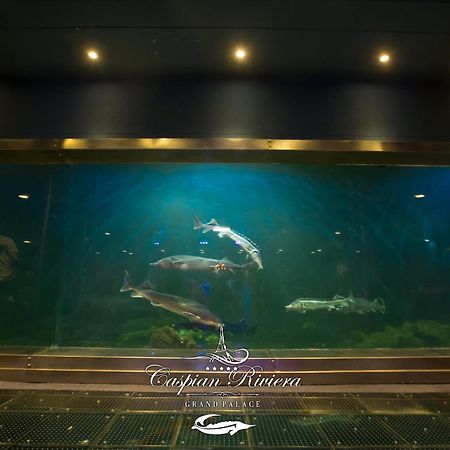 Caspian Riviera Grand Palace Hotel Aktau  Exterior foto Dolphins at the aquarium