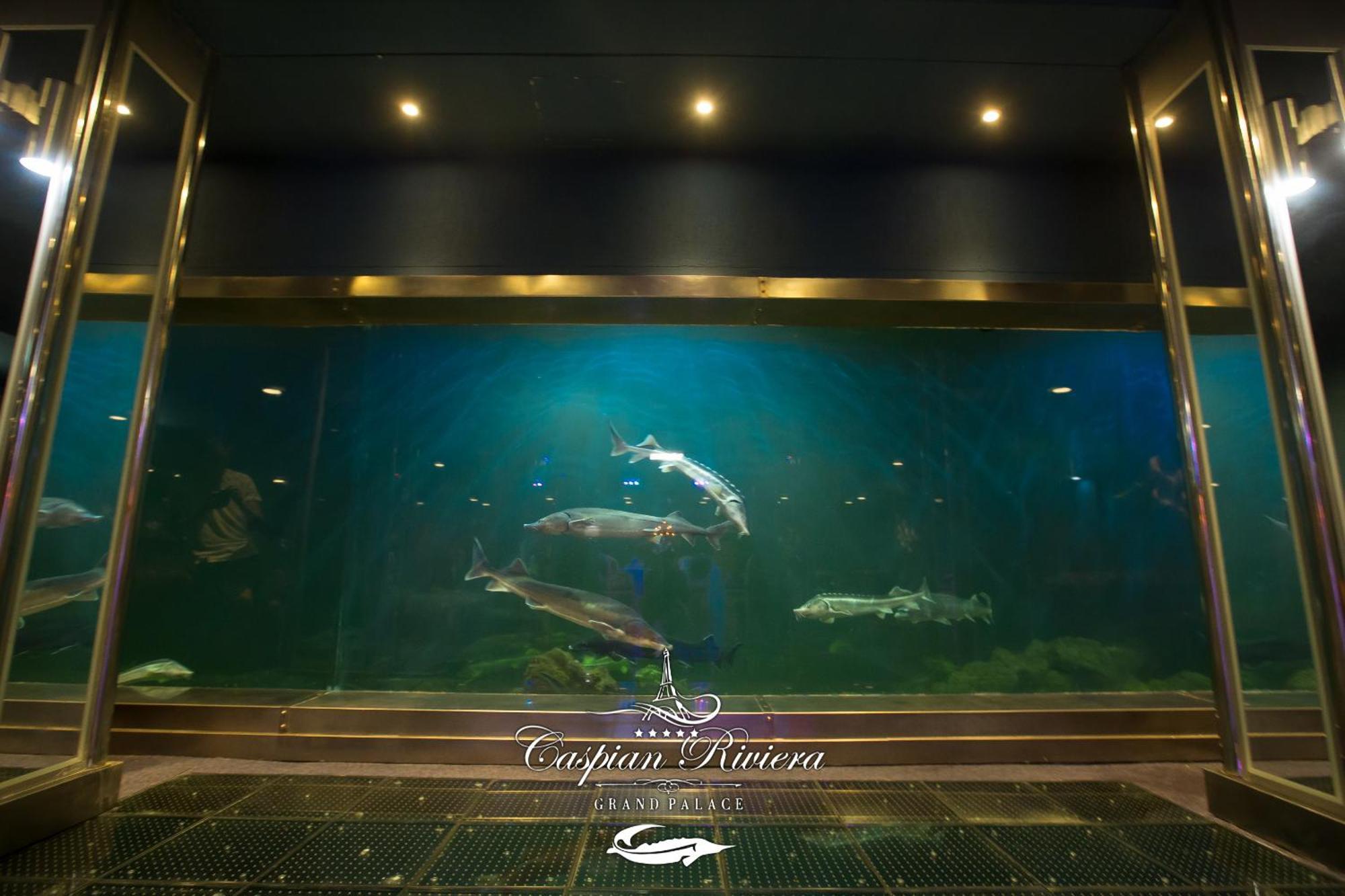 Caspian Riviera Grand Palace Hotel Aktau  Exterior foto Dolphins at the aquarium